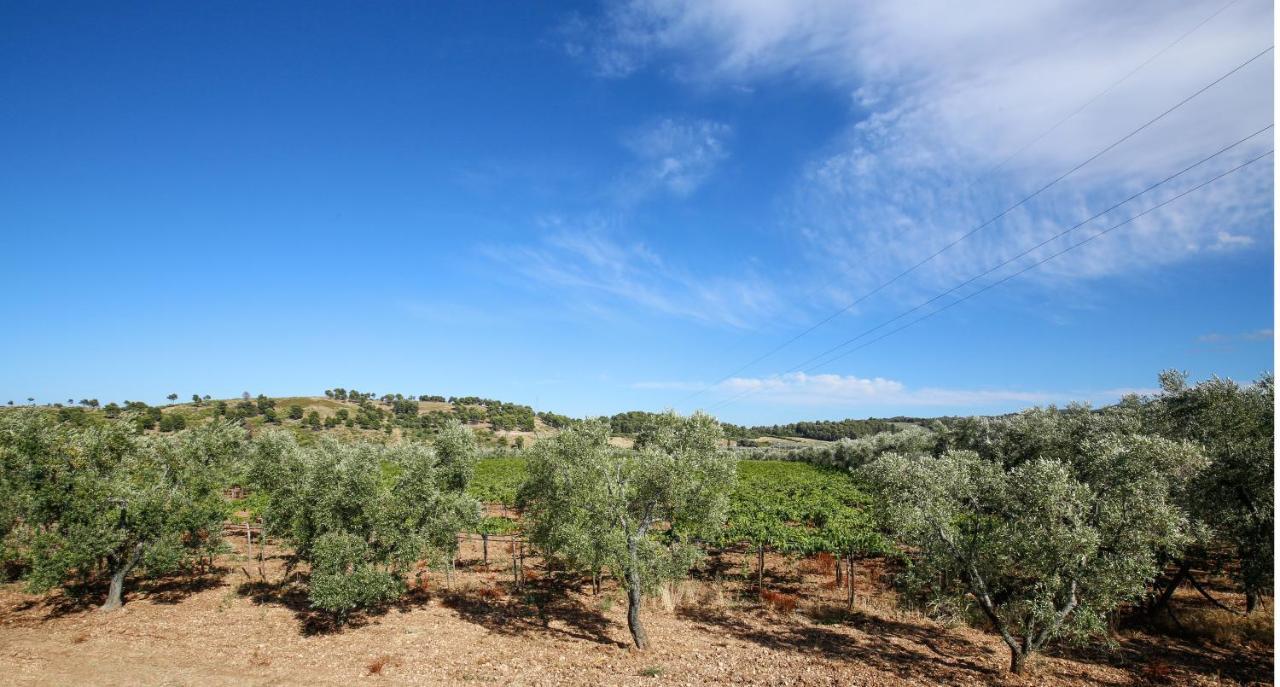 Agriturismo Posta Pastorella ヴィエステ エクステリア 写真